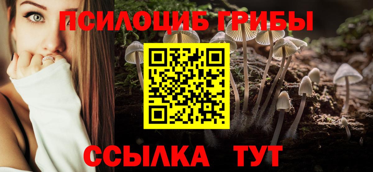 Псилоцибиновые грибы прущие грибы Алапаевск