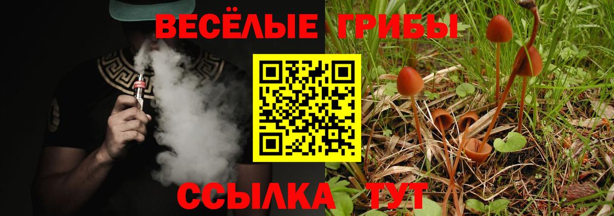 Псилоцибиновые грибы GOLDEN TEACHER  Вход с VPN  Алапаевск 